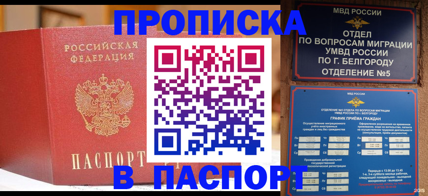 временная регистрация в квартире в Владимирской области